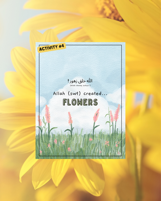 Flowers and Plants PDF